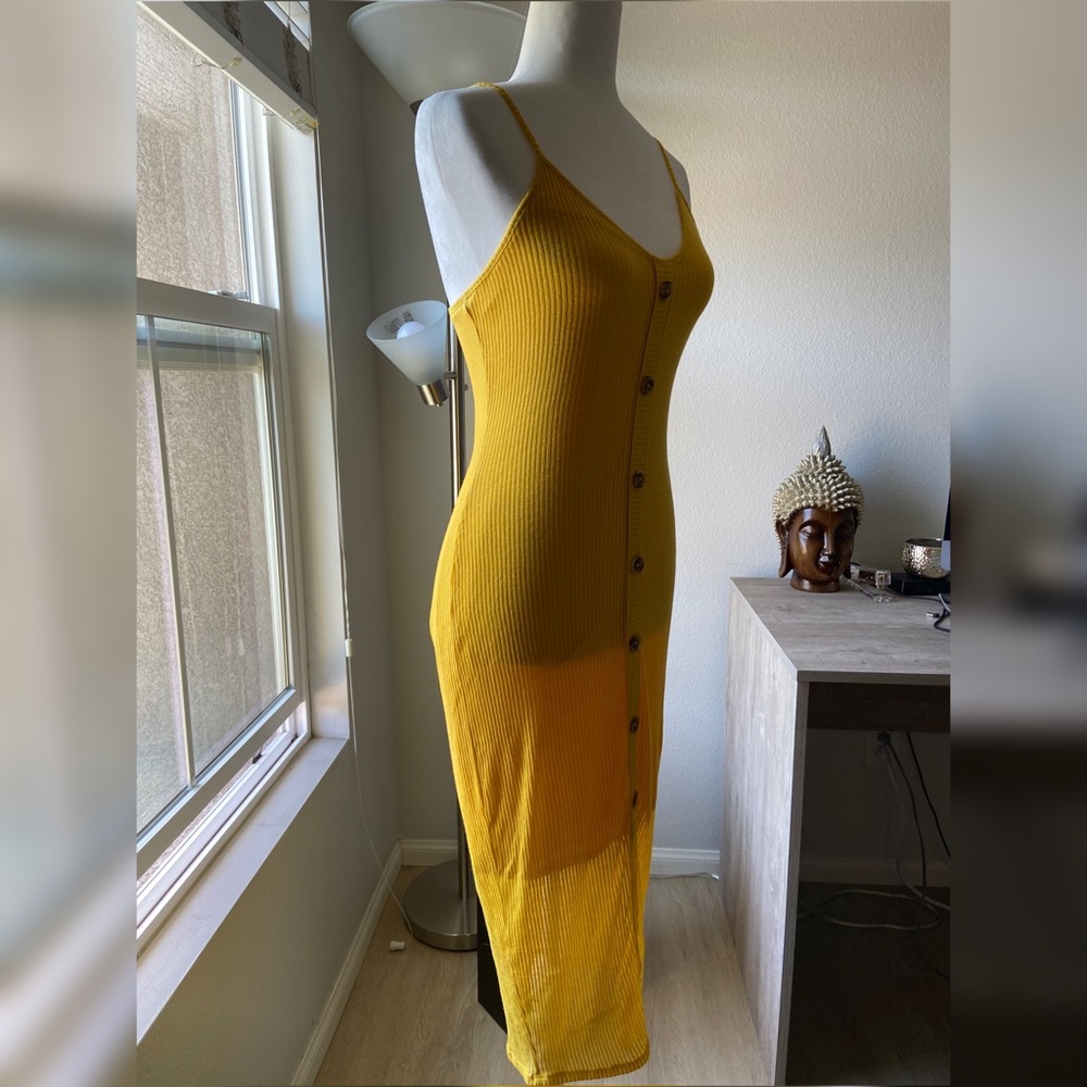 Express Knit Dress BRAND NEW with tags